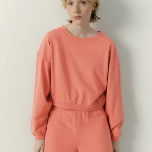 American Vintage || Laweville - Sweat - Make Up Vintage