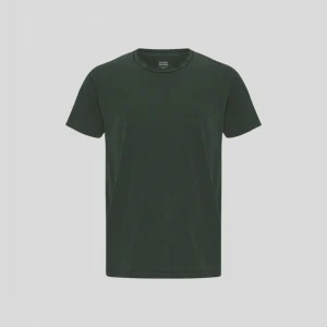 Colorful Standard || Organic Classic Tee - Midnight Forest