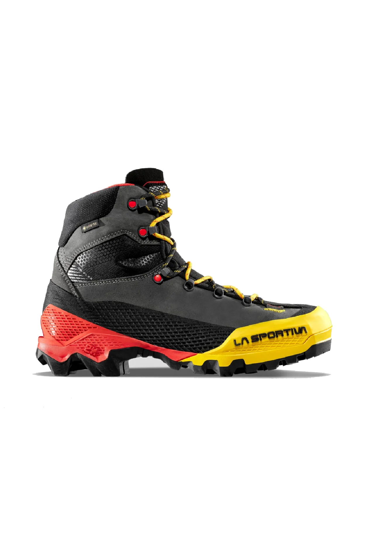 Aequilibrium LT GTX M