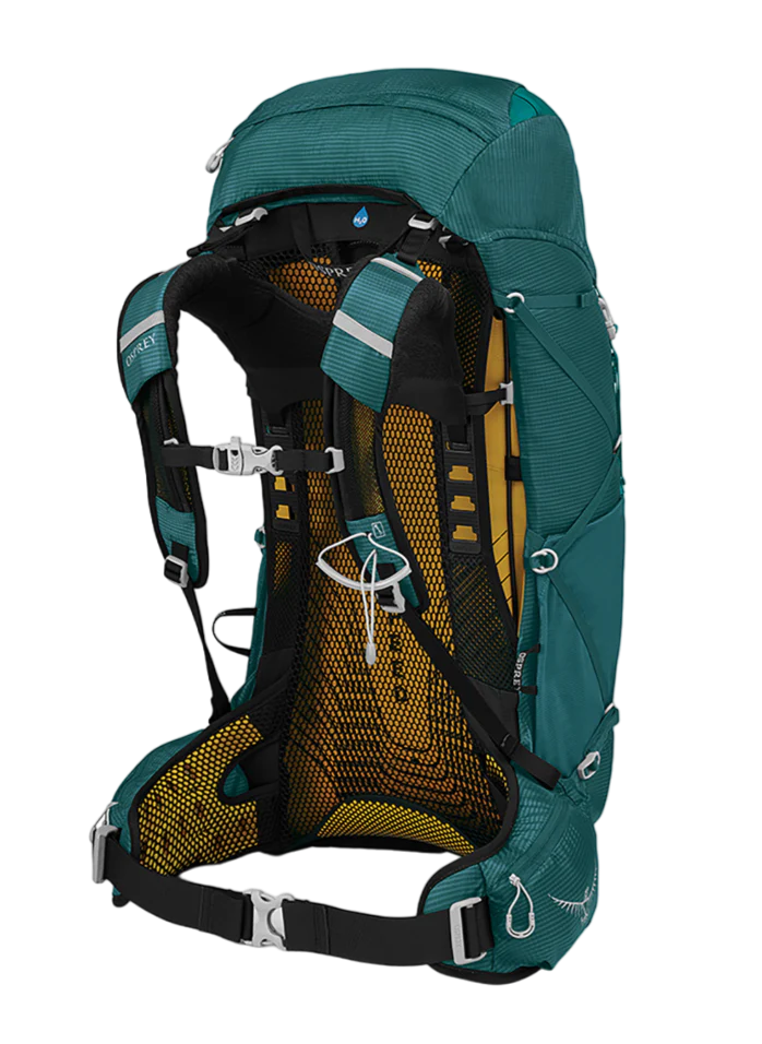 EJ 38 – Image 2