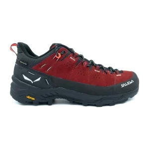 Alp Trainer 2 Gtx W